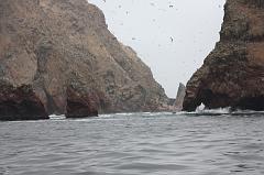 1129-Isole Ballestas,19 luglio 2013
